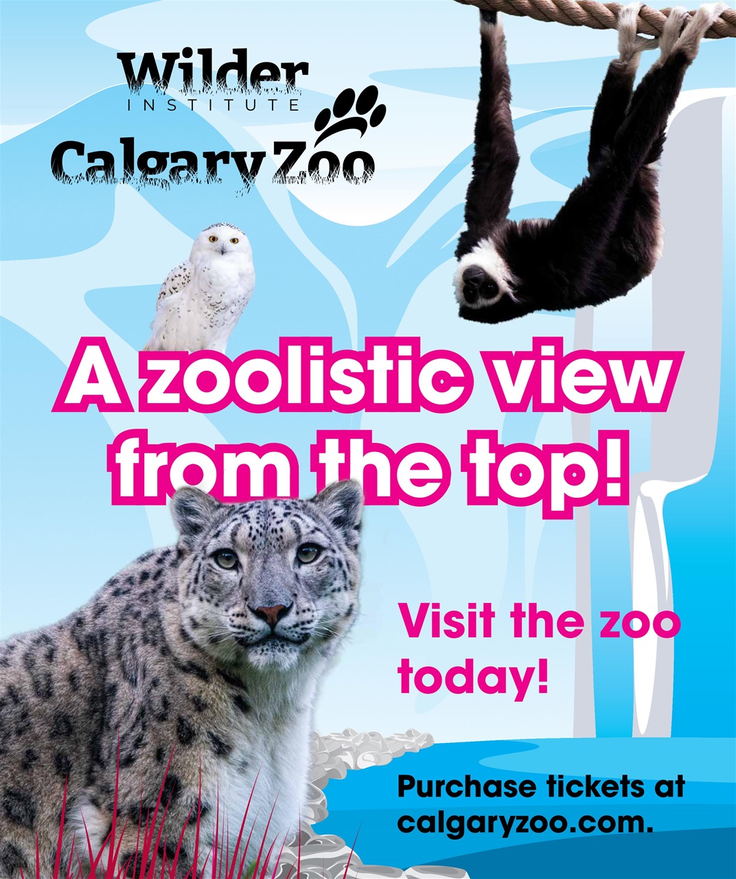 Avenue Calgary Preview Pages