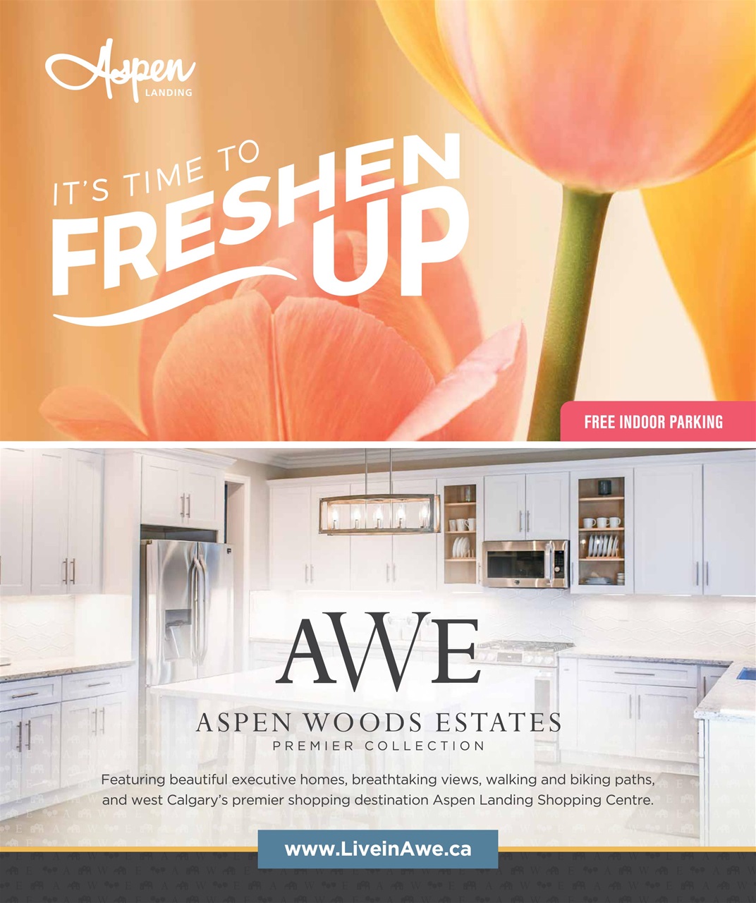 Avenue Calgary Preview Pages