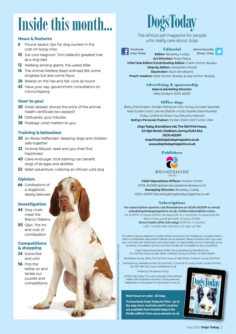Dogs Today Magazine Preview Pages