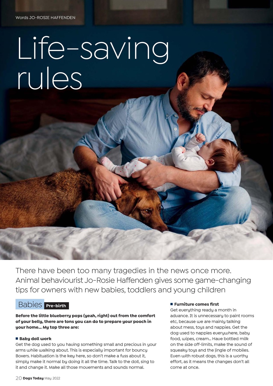 Dogs Today Magazine Preview Pages
