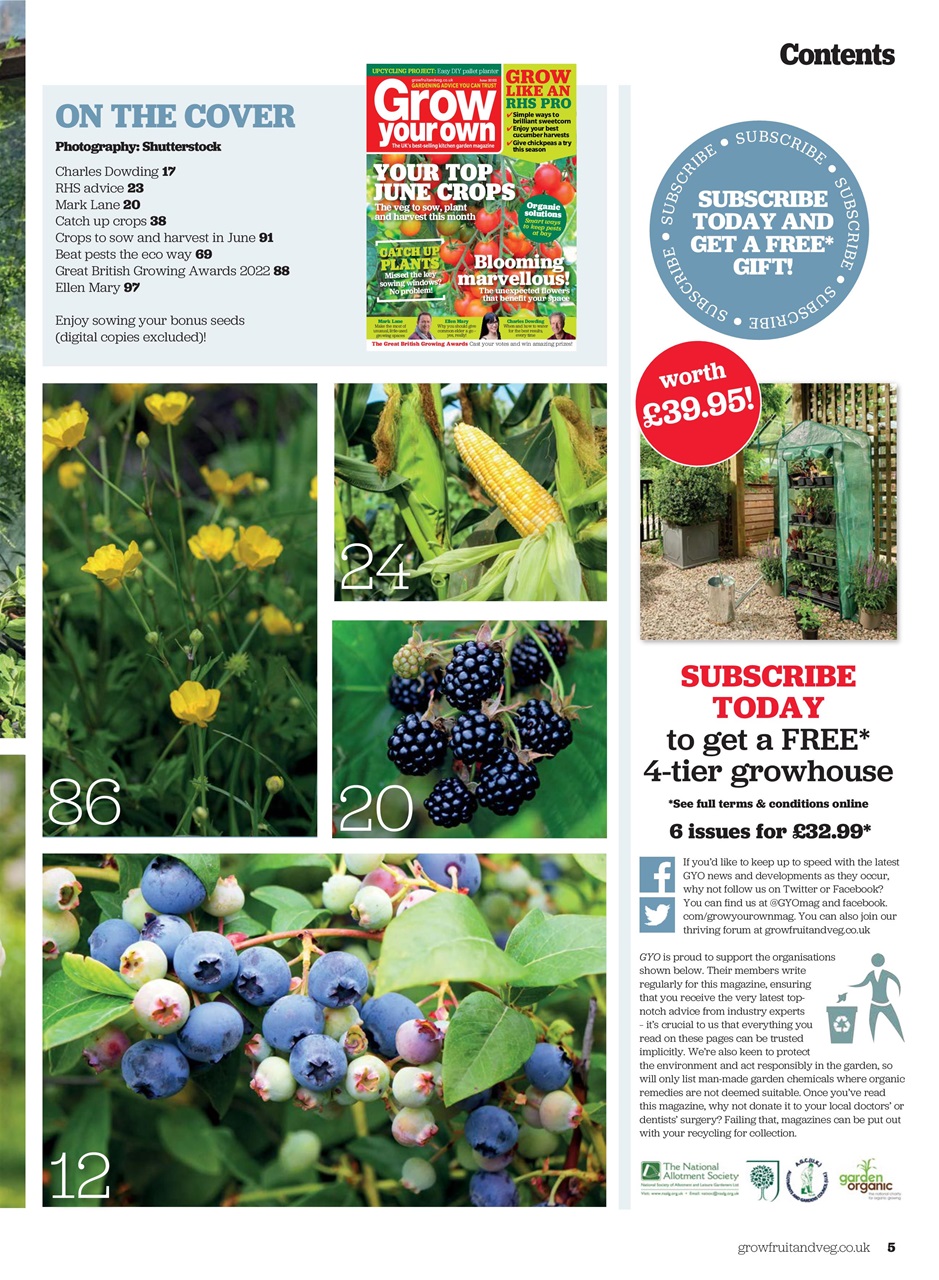 Grow Your Own Preview Pages