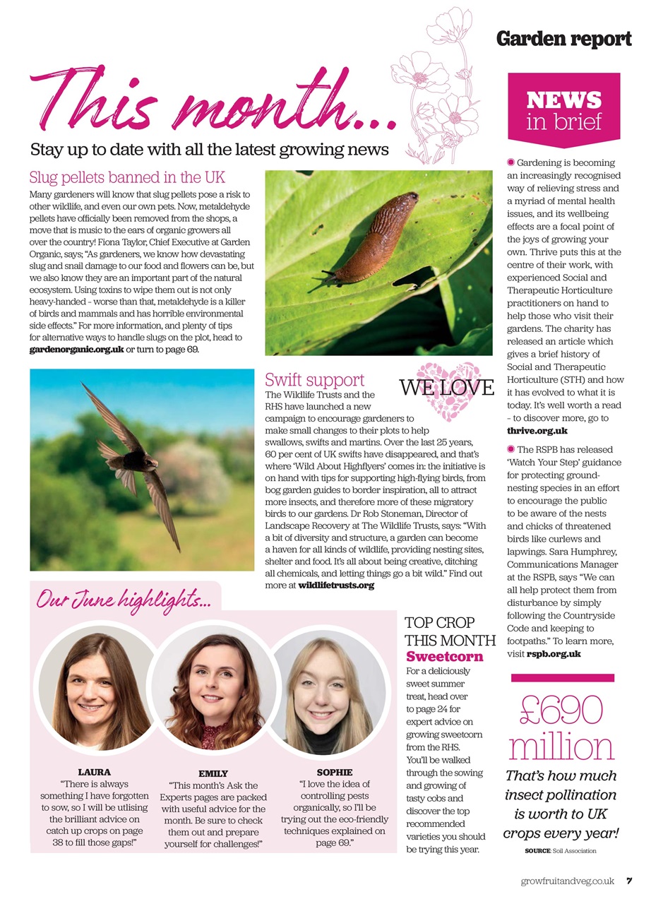 Grow Your Own Preview Pages