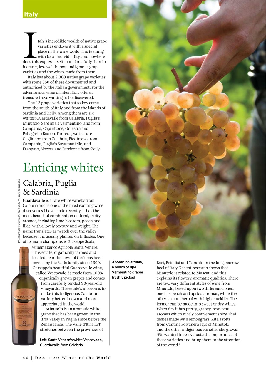 Decanter Bookazine Preview Pages