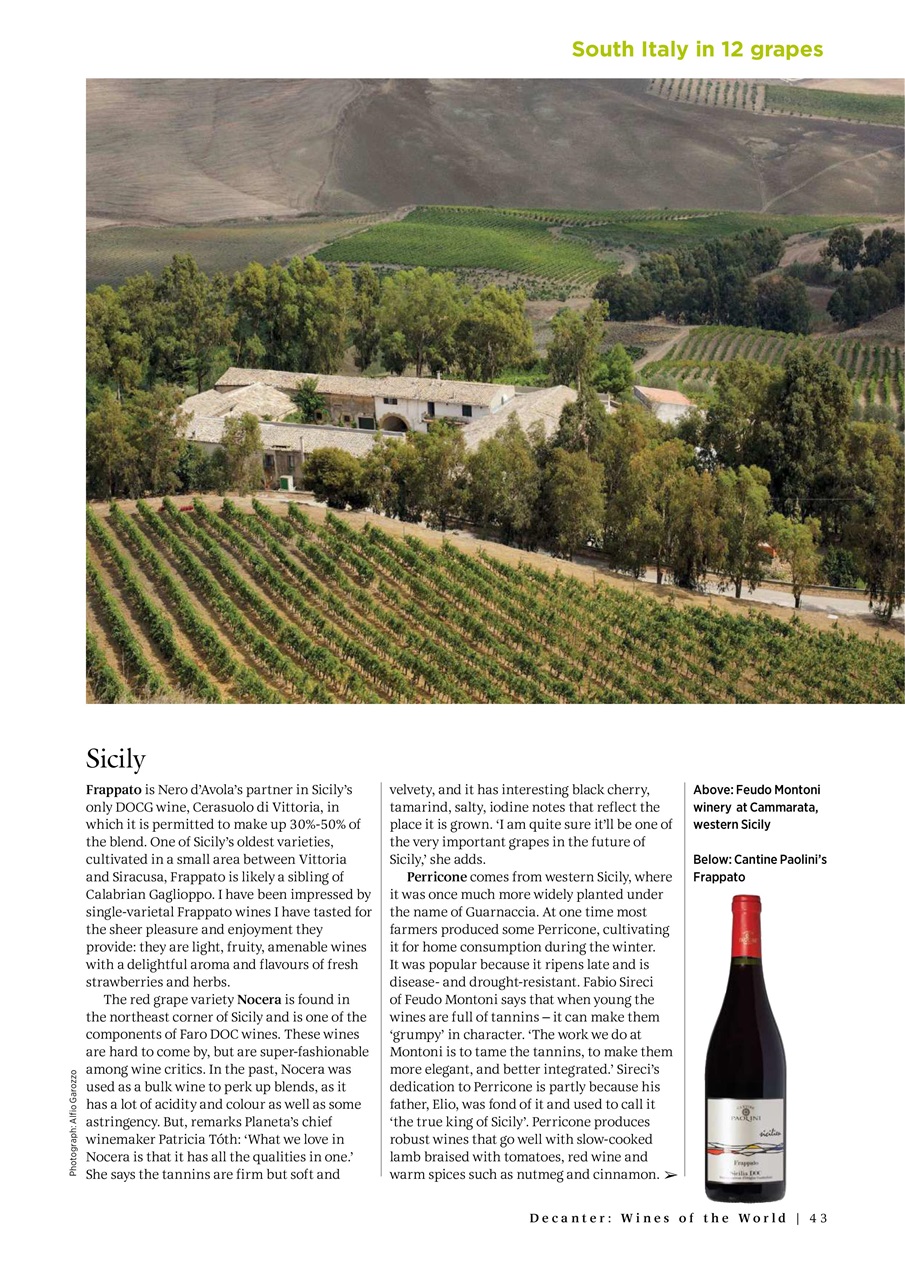 Decanter Bookazine Preview Pages