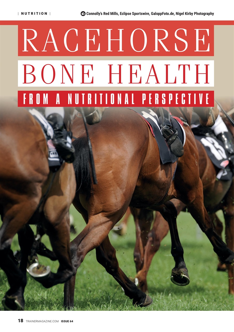 North American Trainer Magazine - horse racing Preview Pages