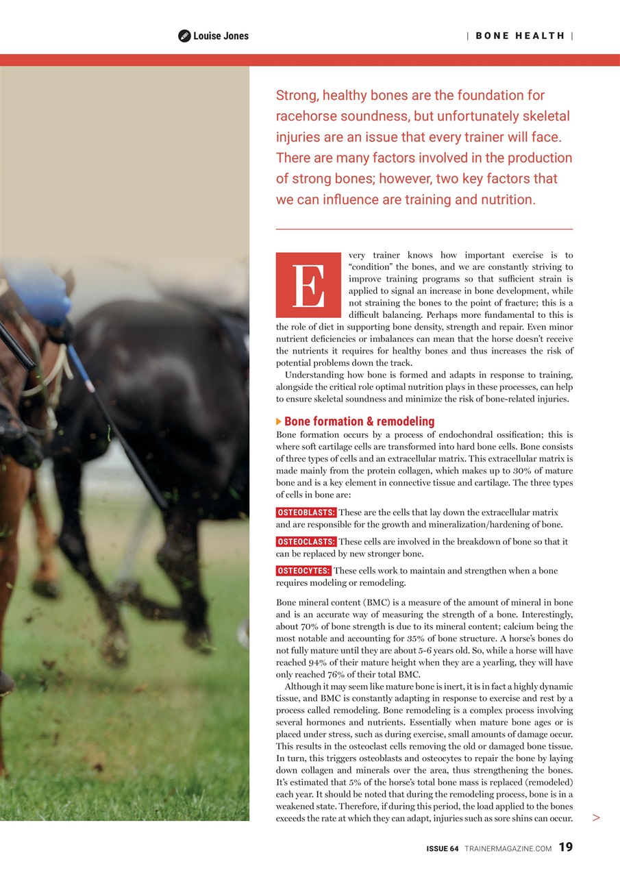 North American Trainer Magazine - horse racing Preview Pages