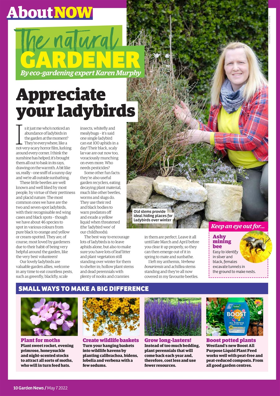 Garden News Preview Pages