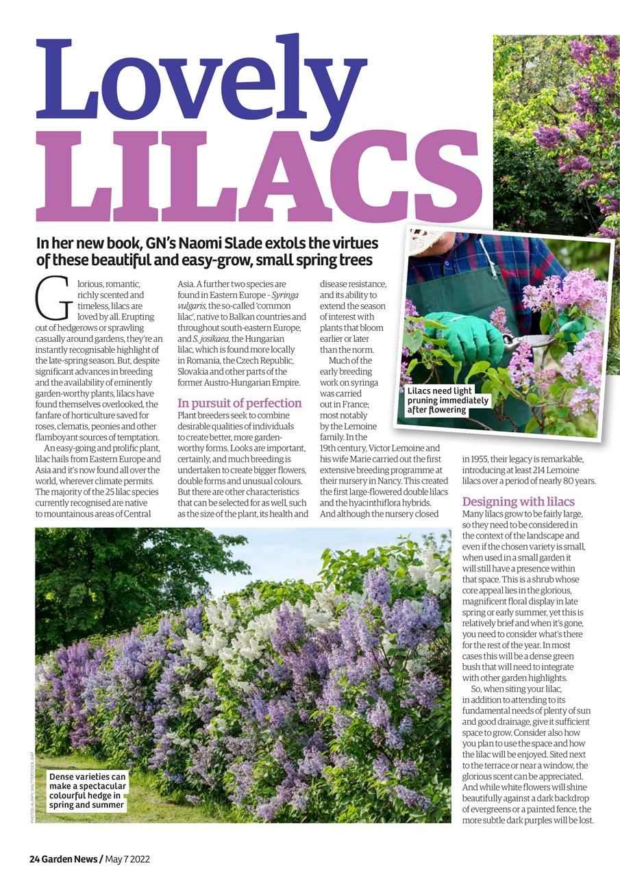 Garden News Preview Pages