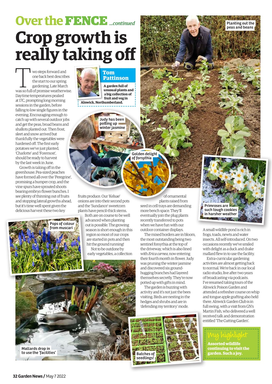 Garden News Preview Pages