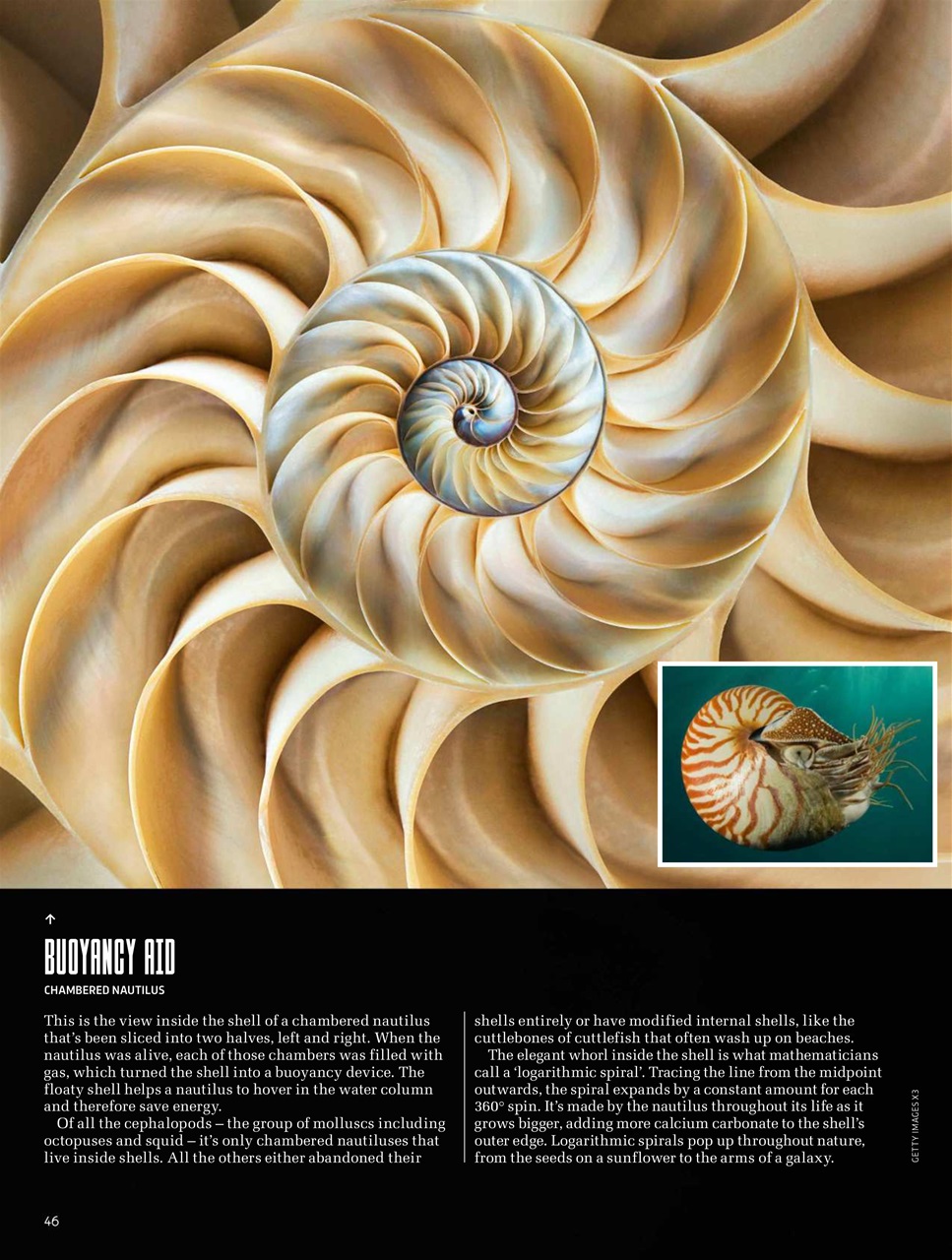 BBC Science Focus Magazine Preview Pages