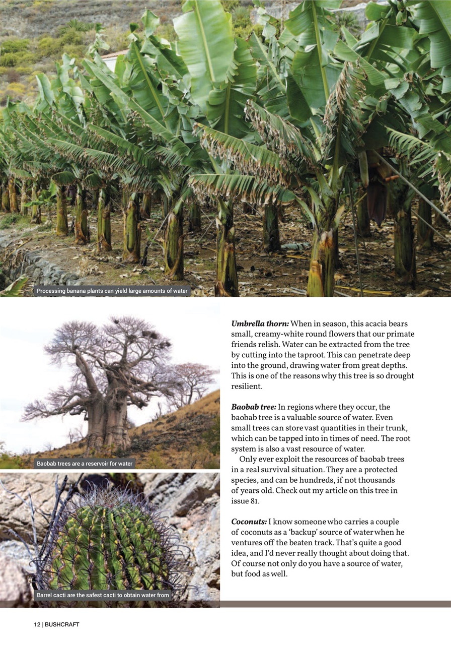 Bushcraft & Survival Skills Magazine Preview Pages