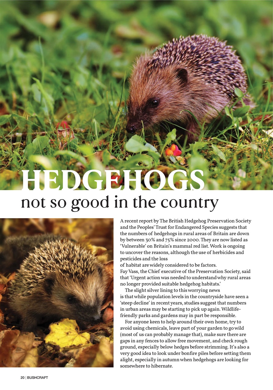 Bushcraft & Survival Skills Magazine Preview Pages