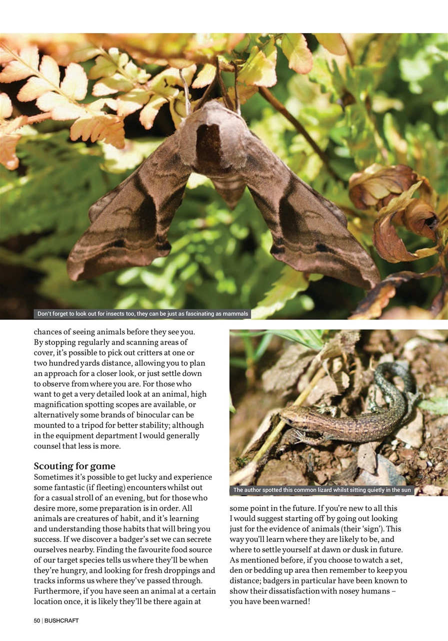 Bushcraft & Survival Skills Magazine Preview Pages