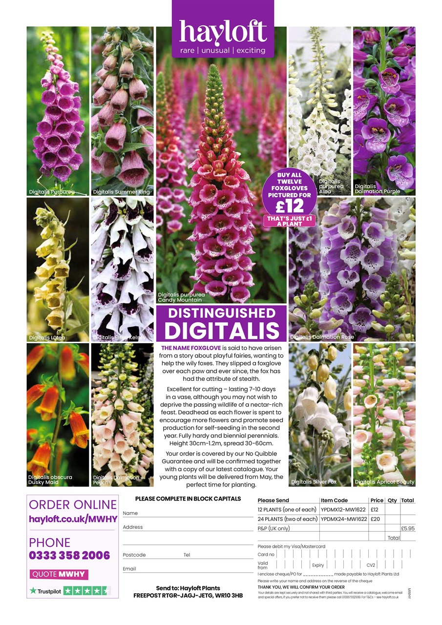 My Weekly Preview Pages