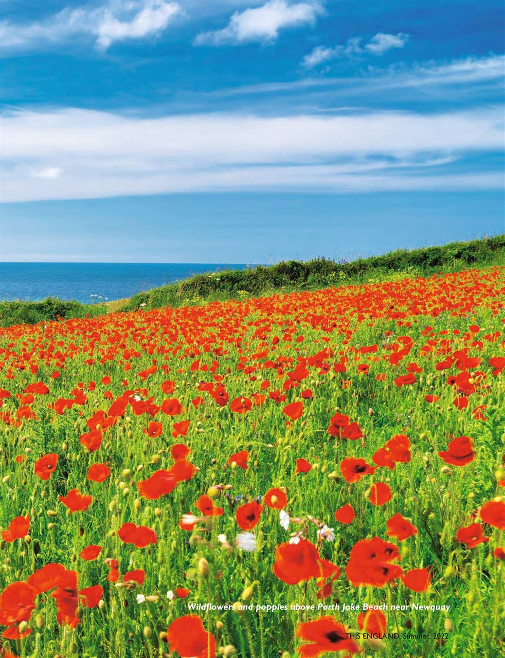 This England Preview Pages