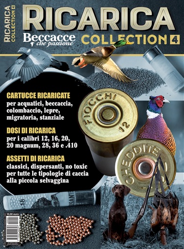 BECCACCE CHE PASSIONE issue 