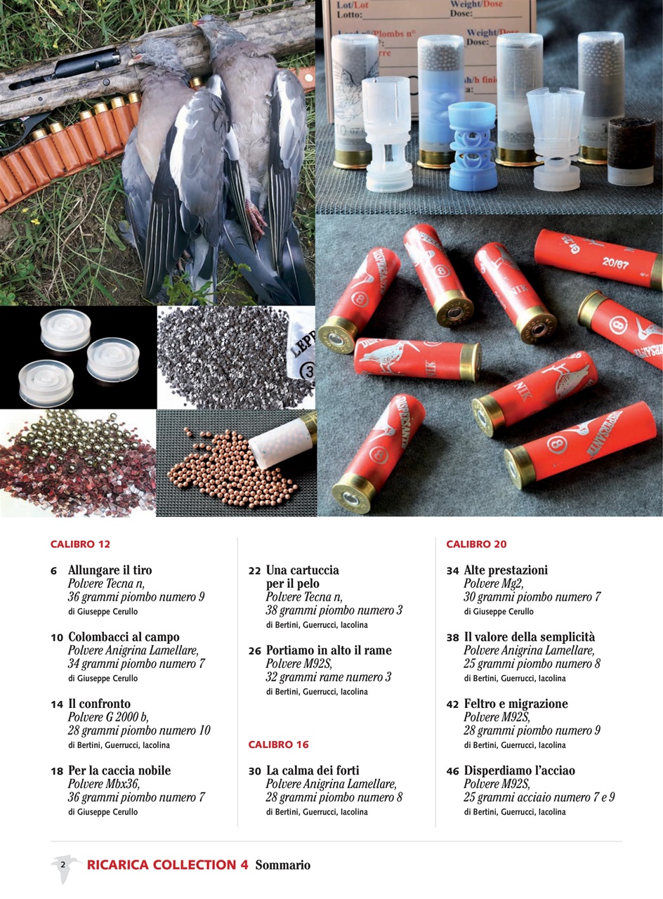 BECCACCE CHE PASSIONE Preview Pages