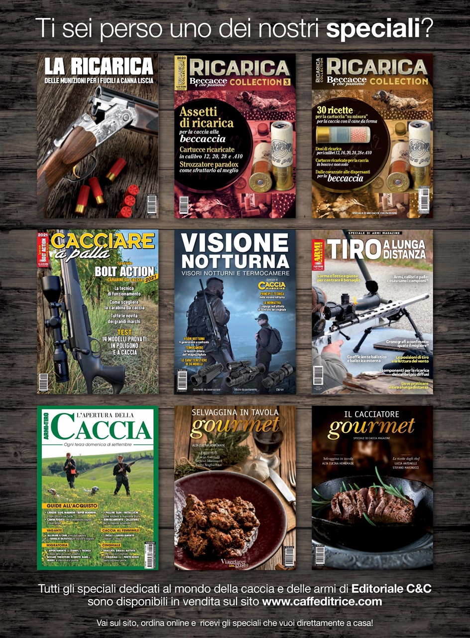 BECCACCE CHE PASSIONE Preview Pages