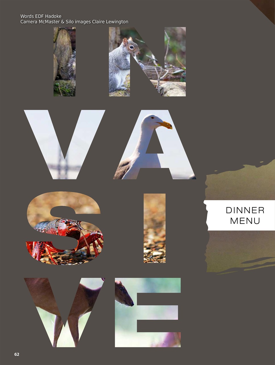 Chef & Restaurant Magazine Preview Pages