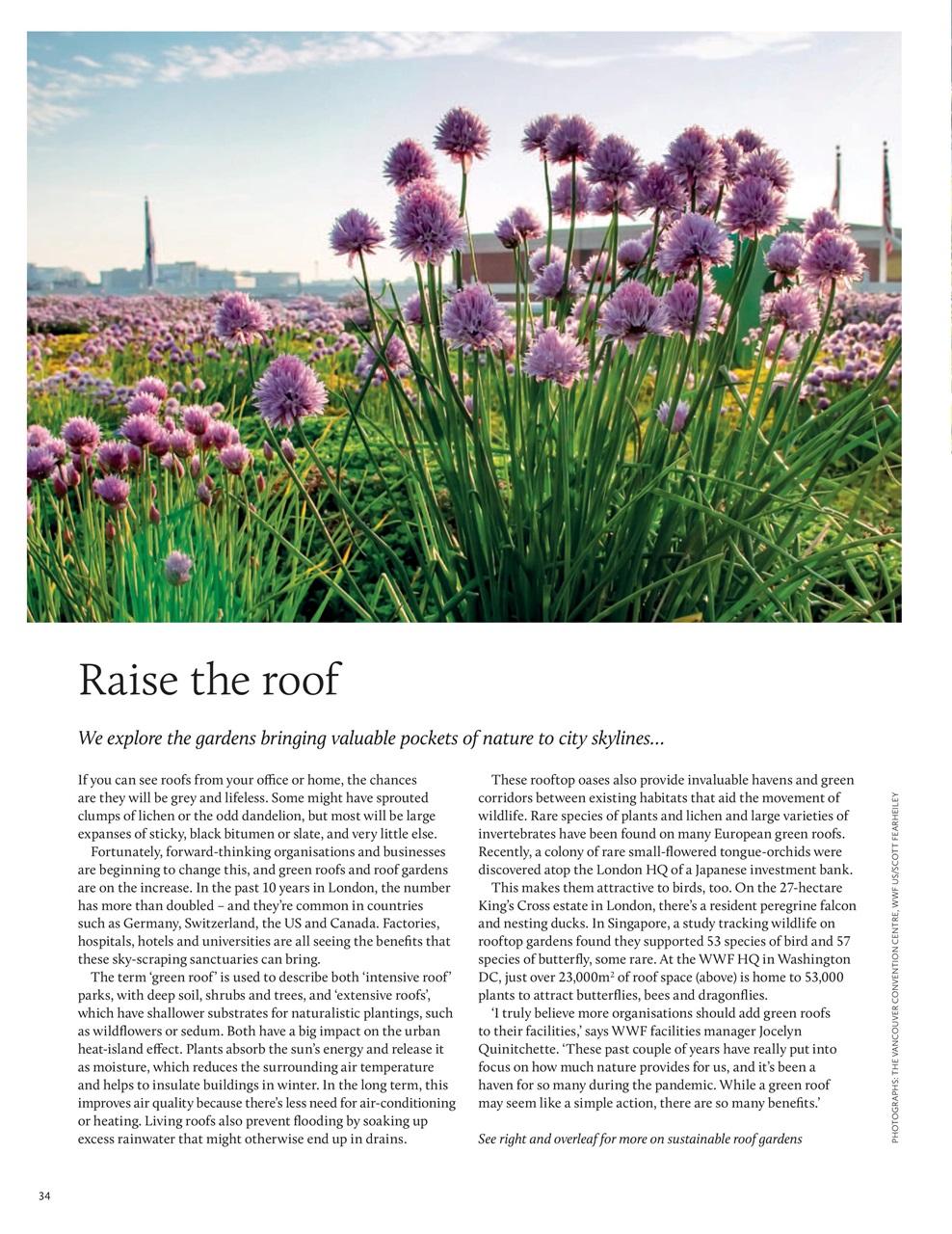 Breathe Preview Pages