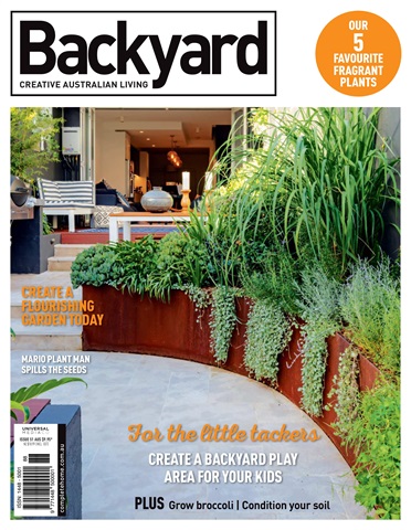 51 issue 51