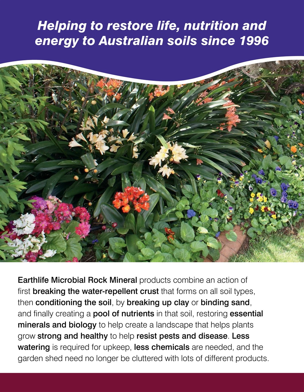 Backyard & Outdoor Living Preview Pages