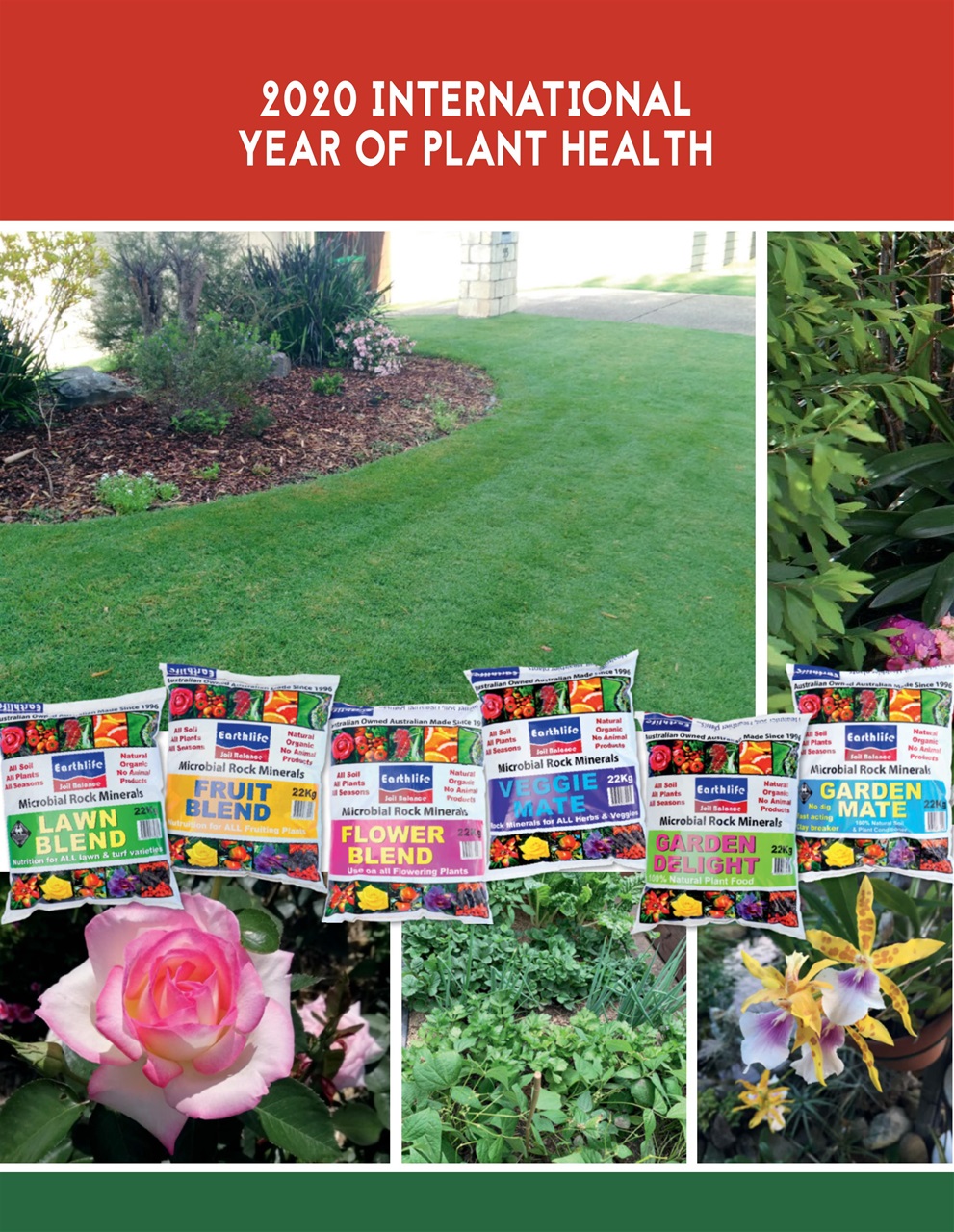 Backyard & Outdoor Living Preview Pages