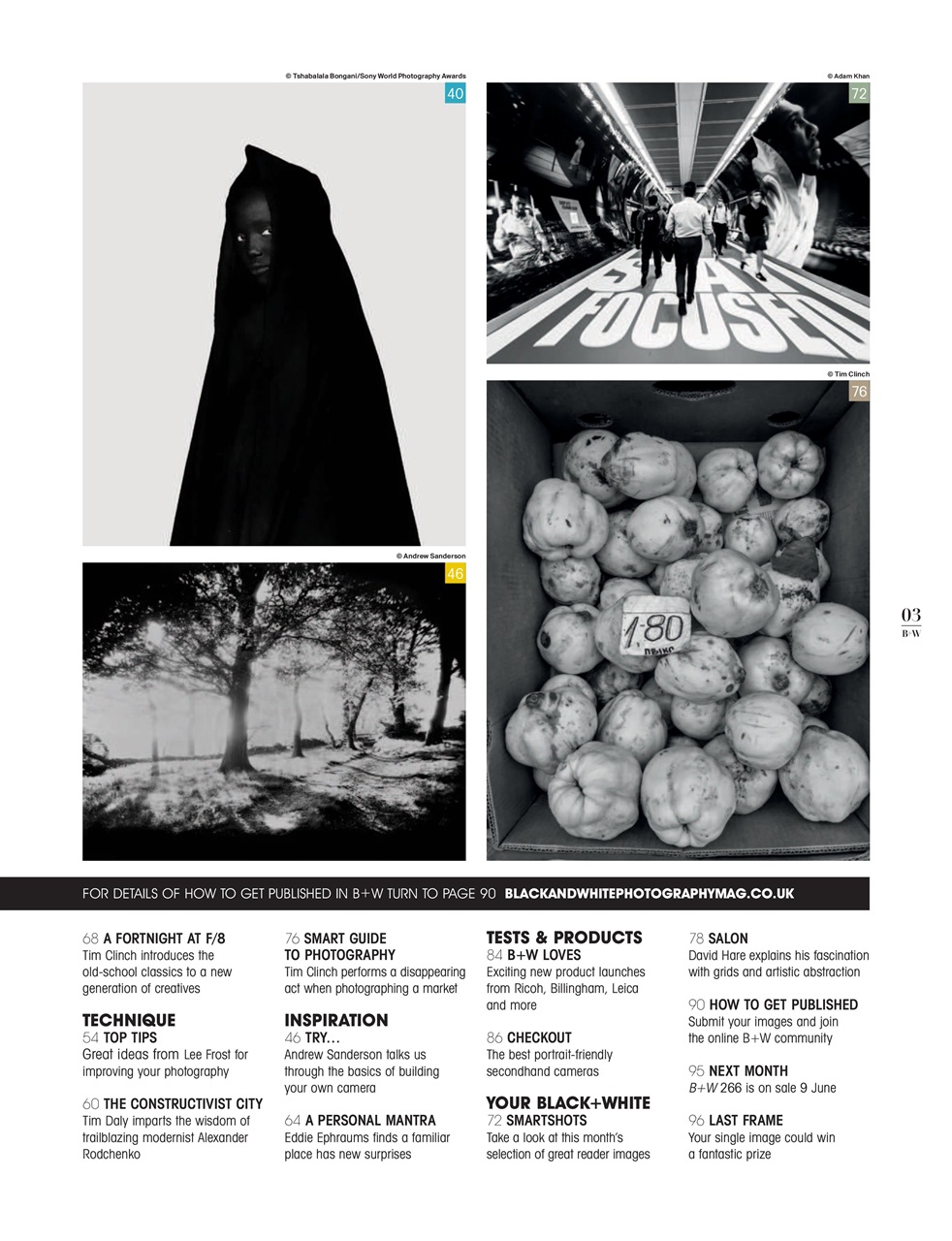 Black+White Photography Preview Pages