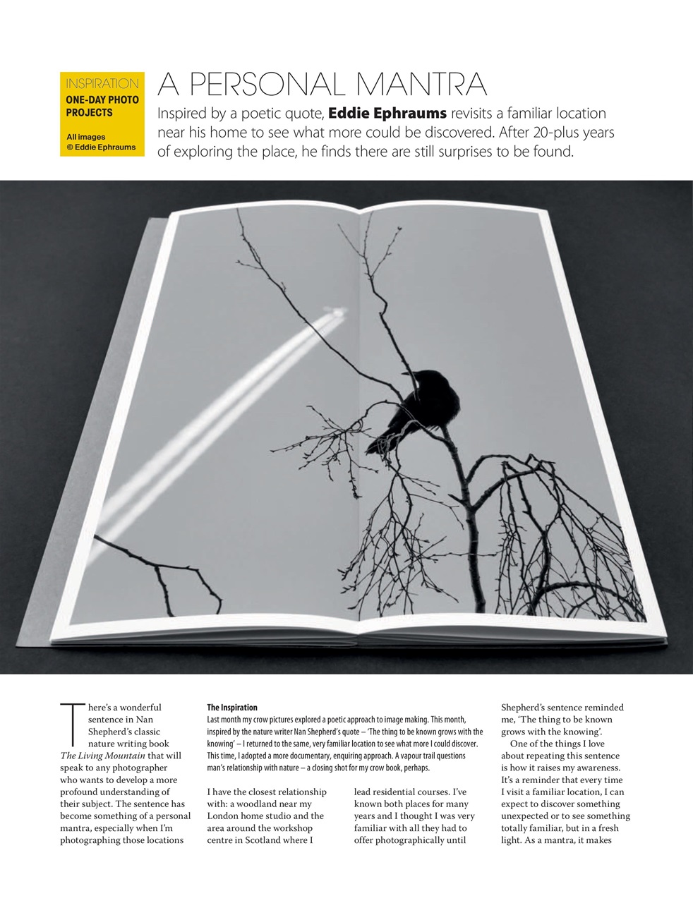 Black+White Photography Preview Pages