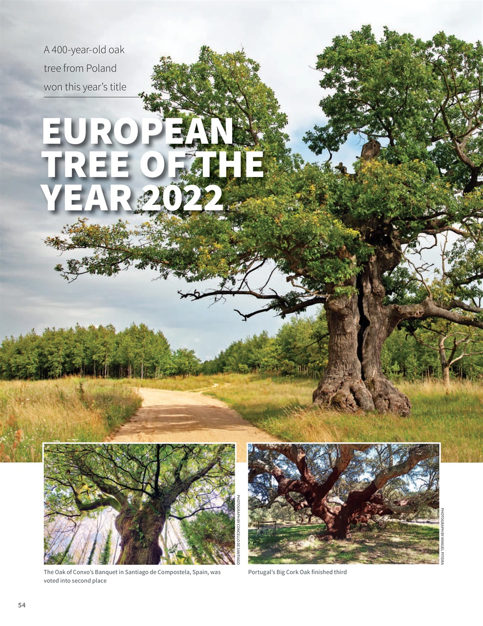 Woodworking Crafts Magazine Preview Pages