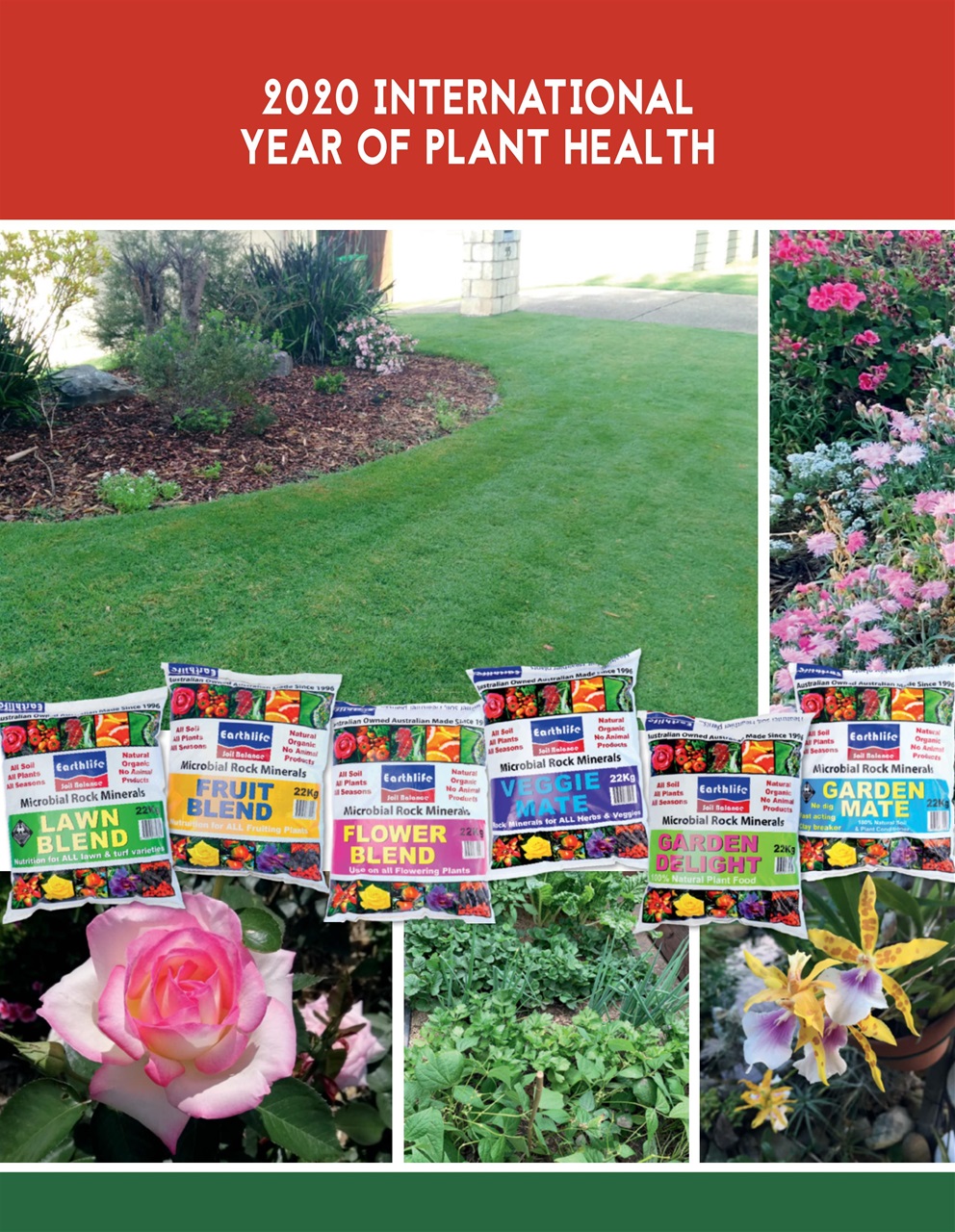 Backyard & Outdoor Living Preview Pages