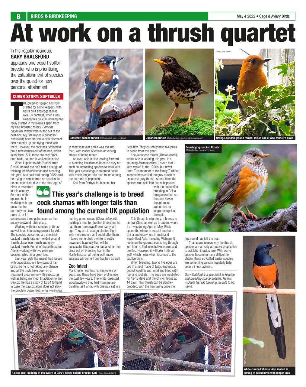 Cage & Aviary Birds Preview Pages