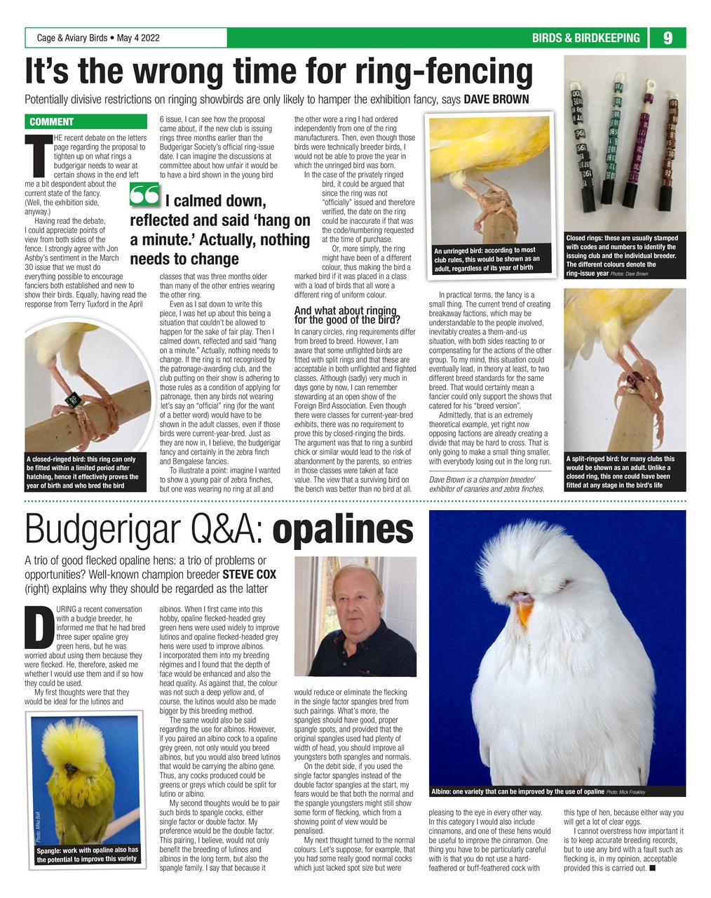 Cage & Aviary Birds Preview Pages