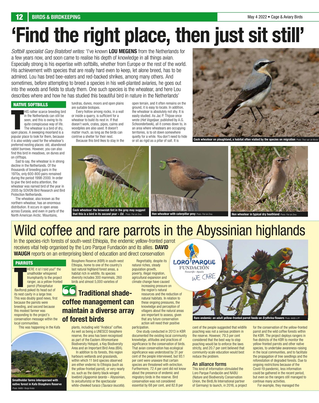 Cage & Aviary Birds Preview Pages