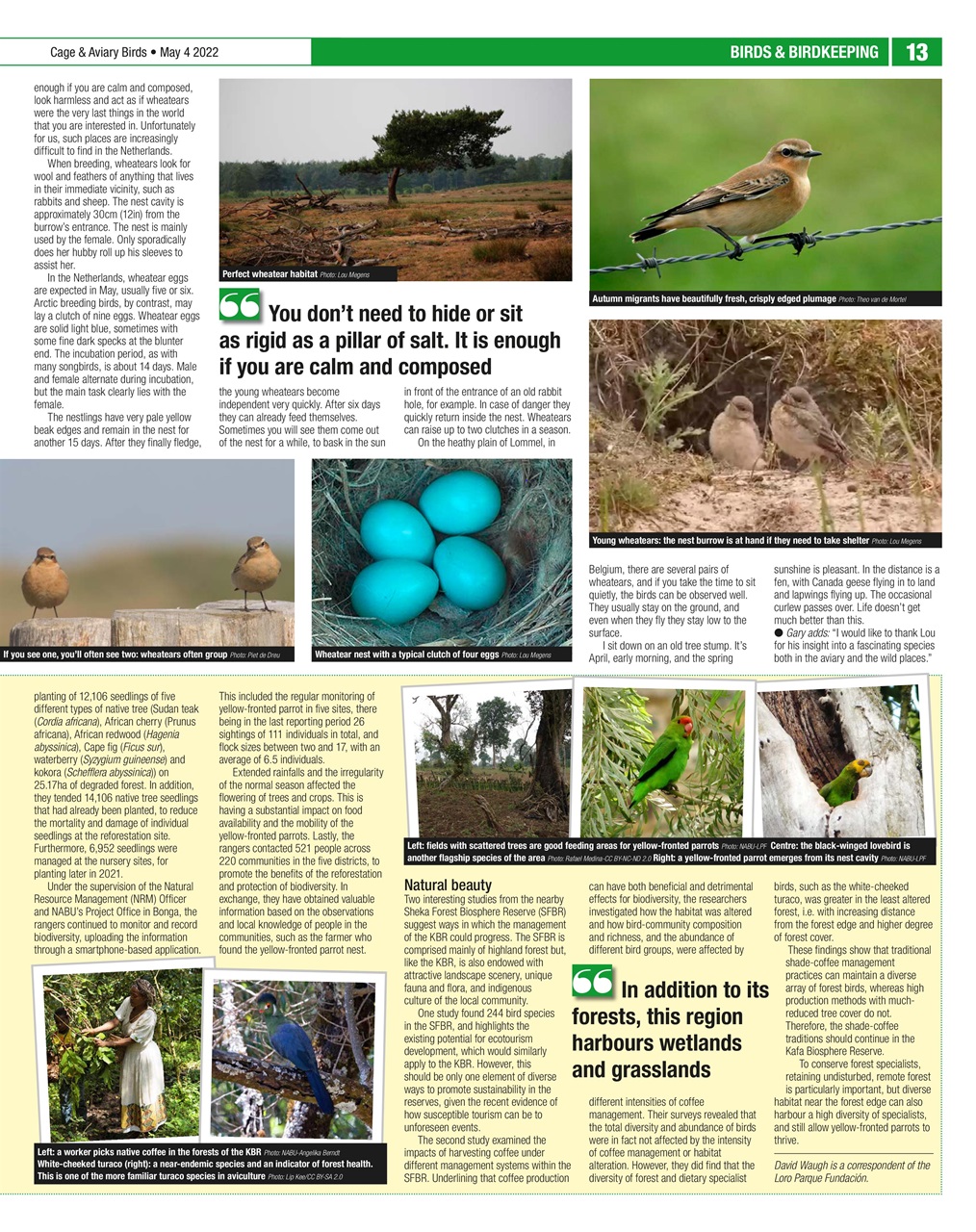 Cage & Aviary Birds Preview Pages