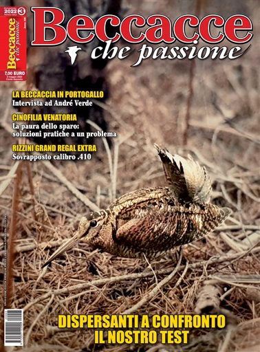 BECCACCE CHE PASSIONE issue 