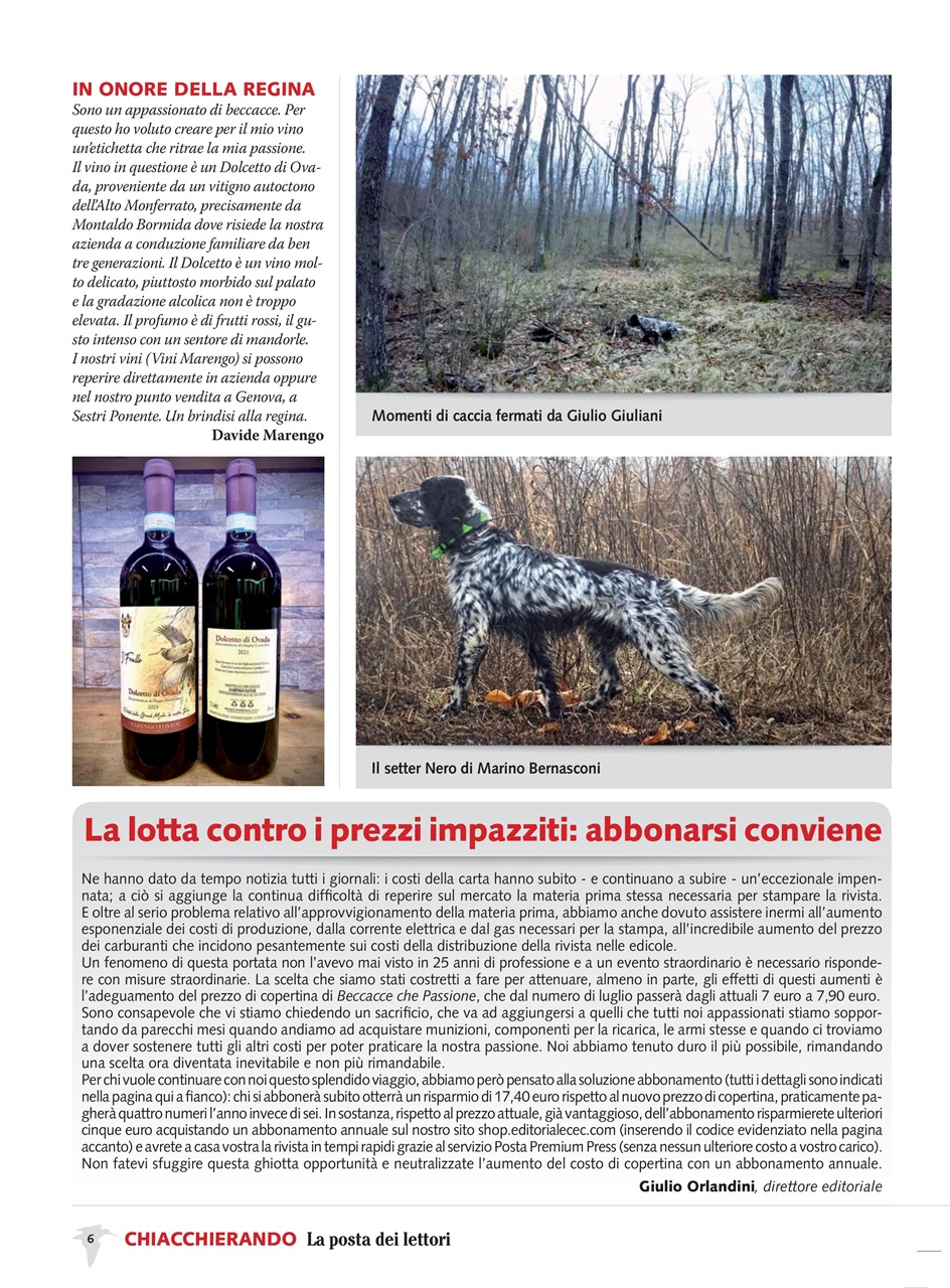 BECCACCE CHE PASSIONE Preview Pages