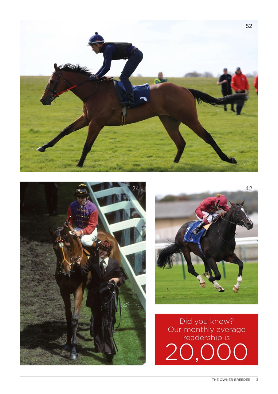 The Owner Breeder Preview Pages
