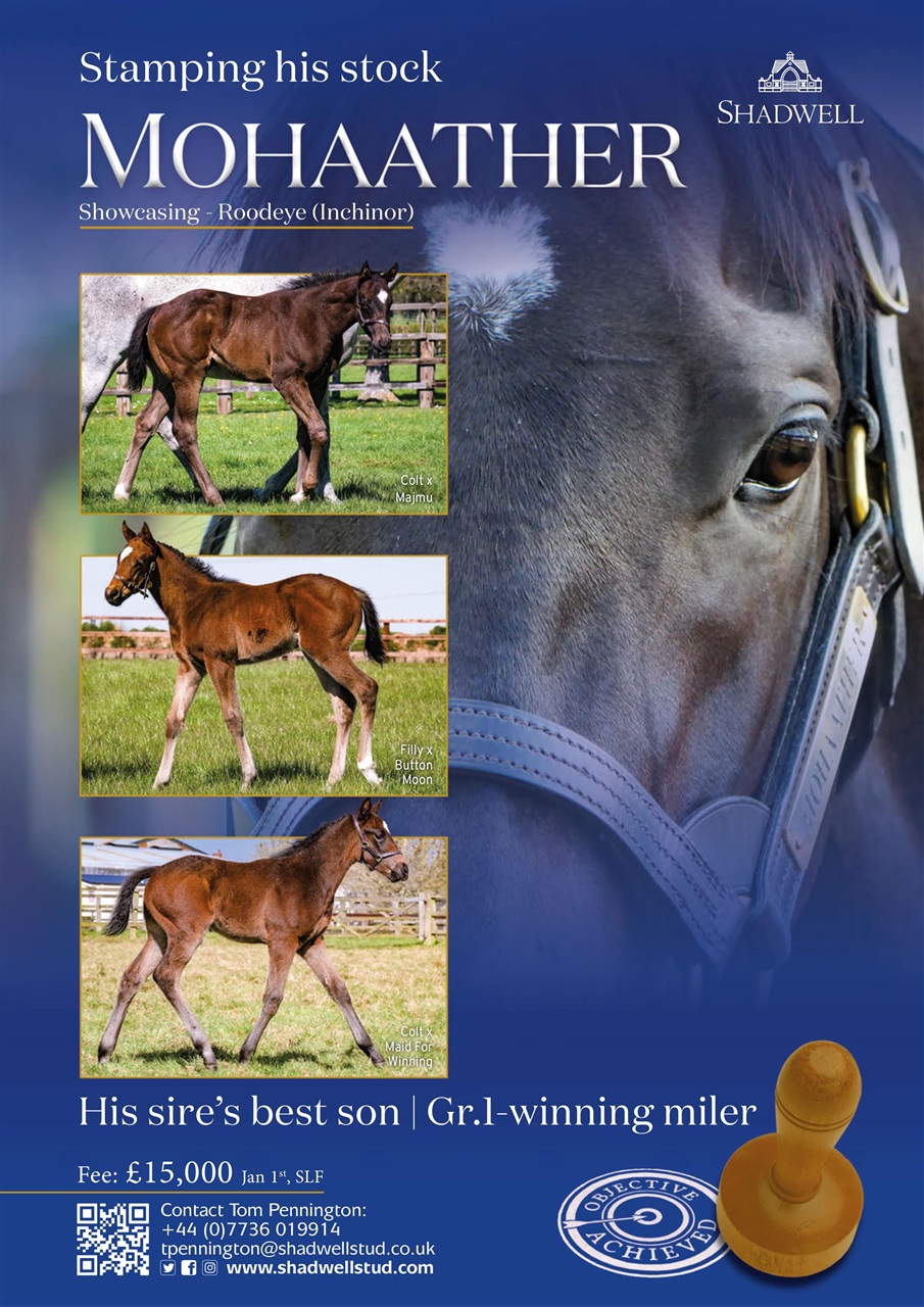The Owner Breeder Preview Pages