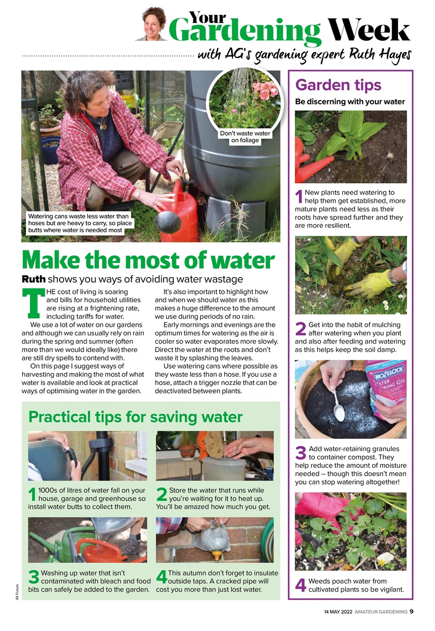 Amateur Gardening Preview Pages