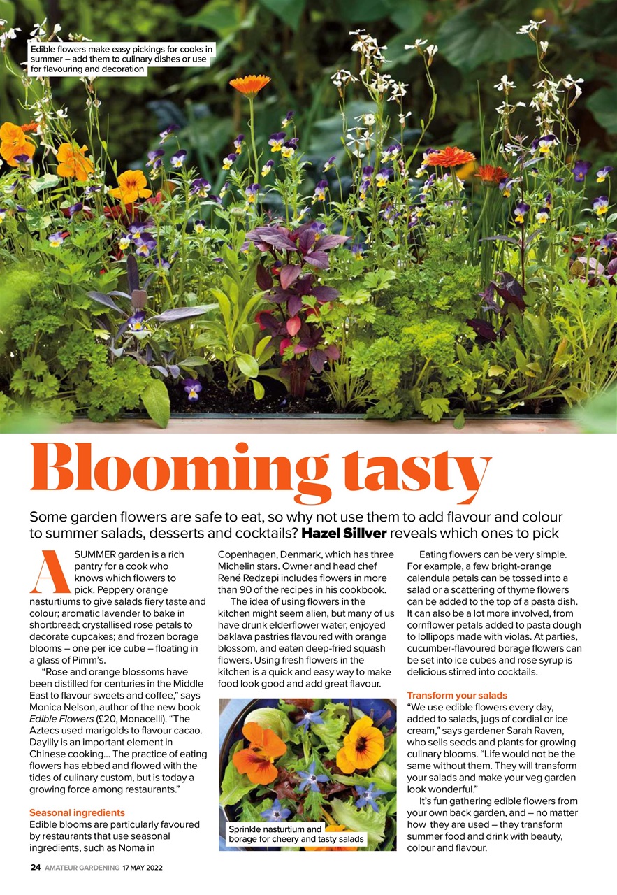 Amateur Gardening Preview Pages