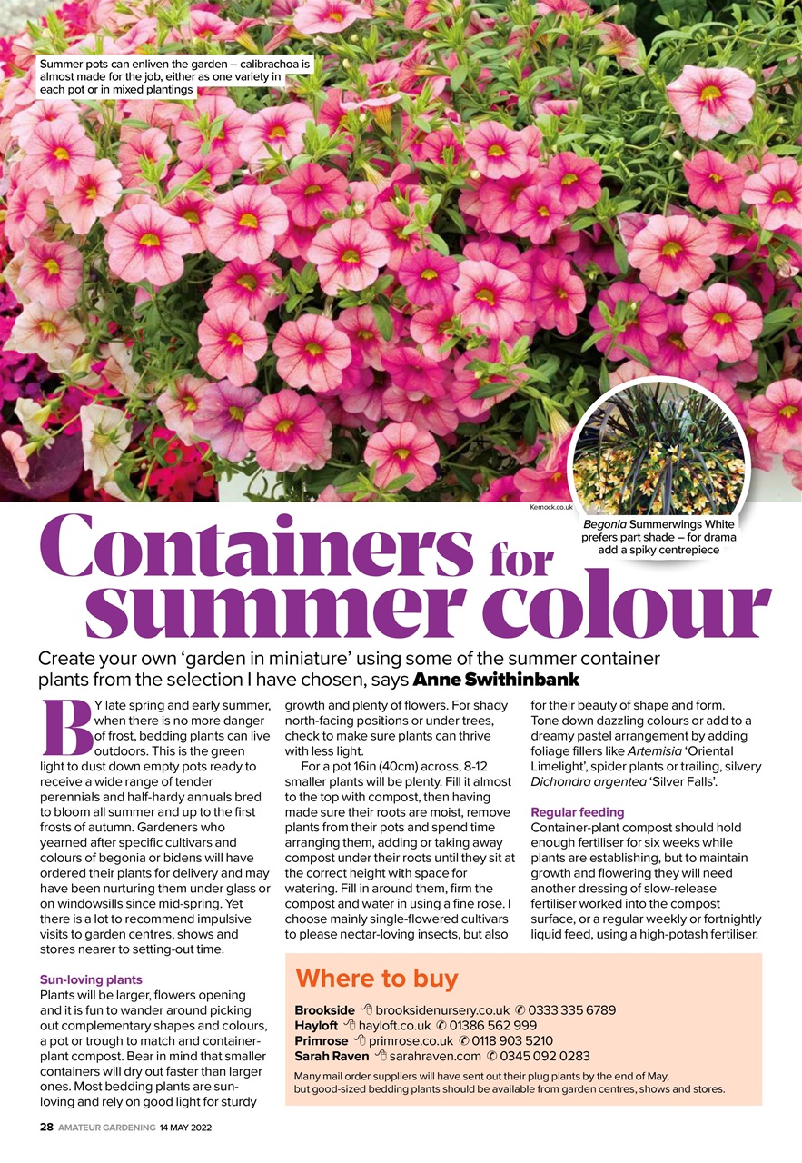 Amateur Gardening Preview Pages