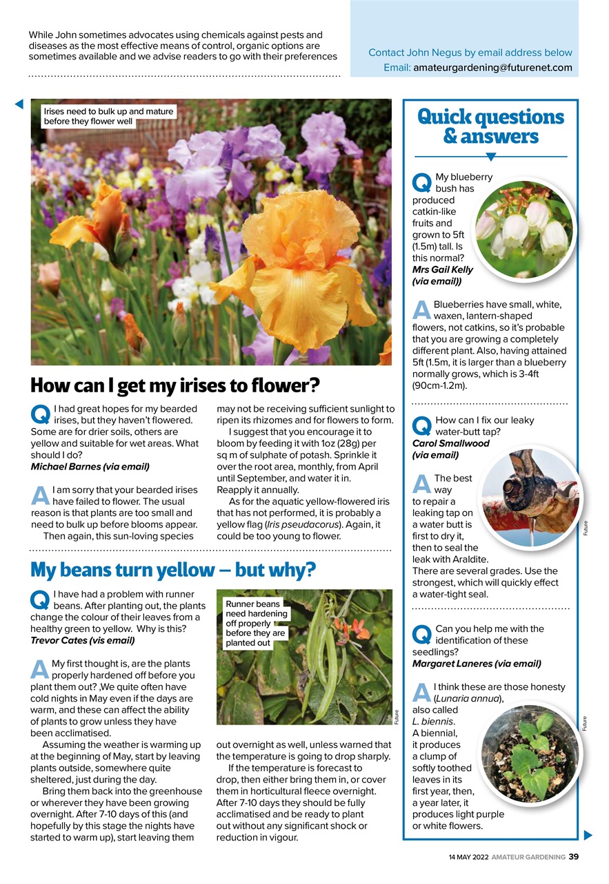 Amateur Gardening Preview Pages