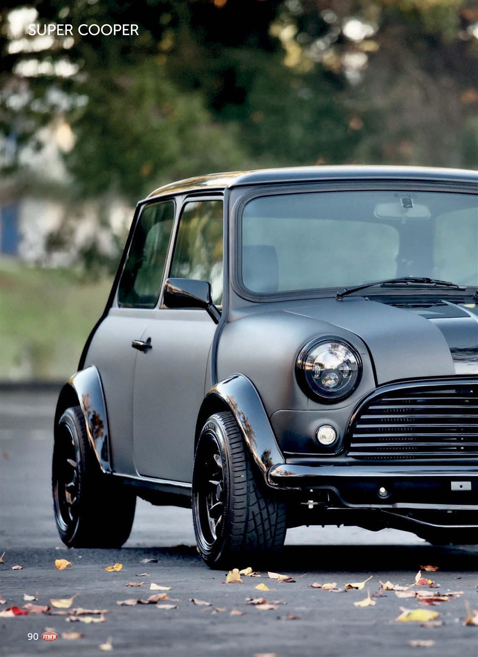 Mini Magazine Preview Pages