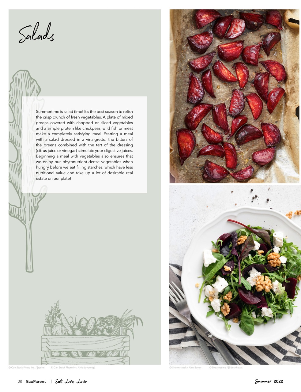 Ecoparent Magazine Preview Pages