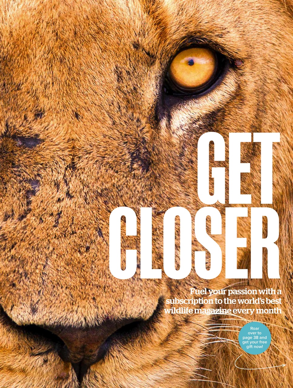 BBC Wildlife Magazine Preview Pages