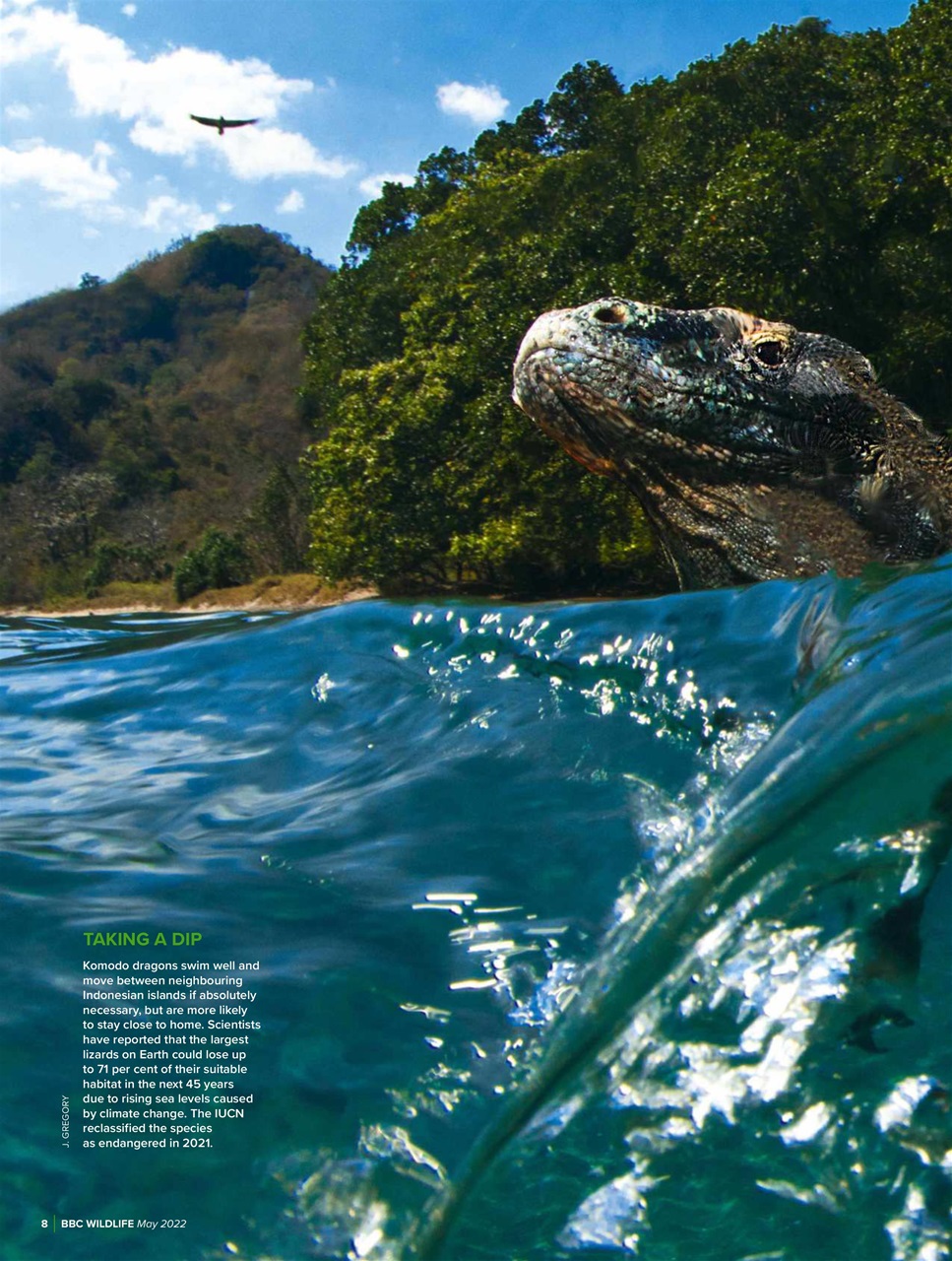 BBC Wildlife Magazine Preview Pages
