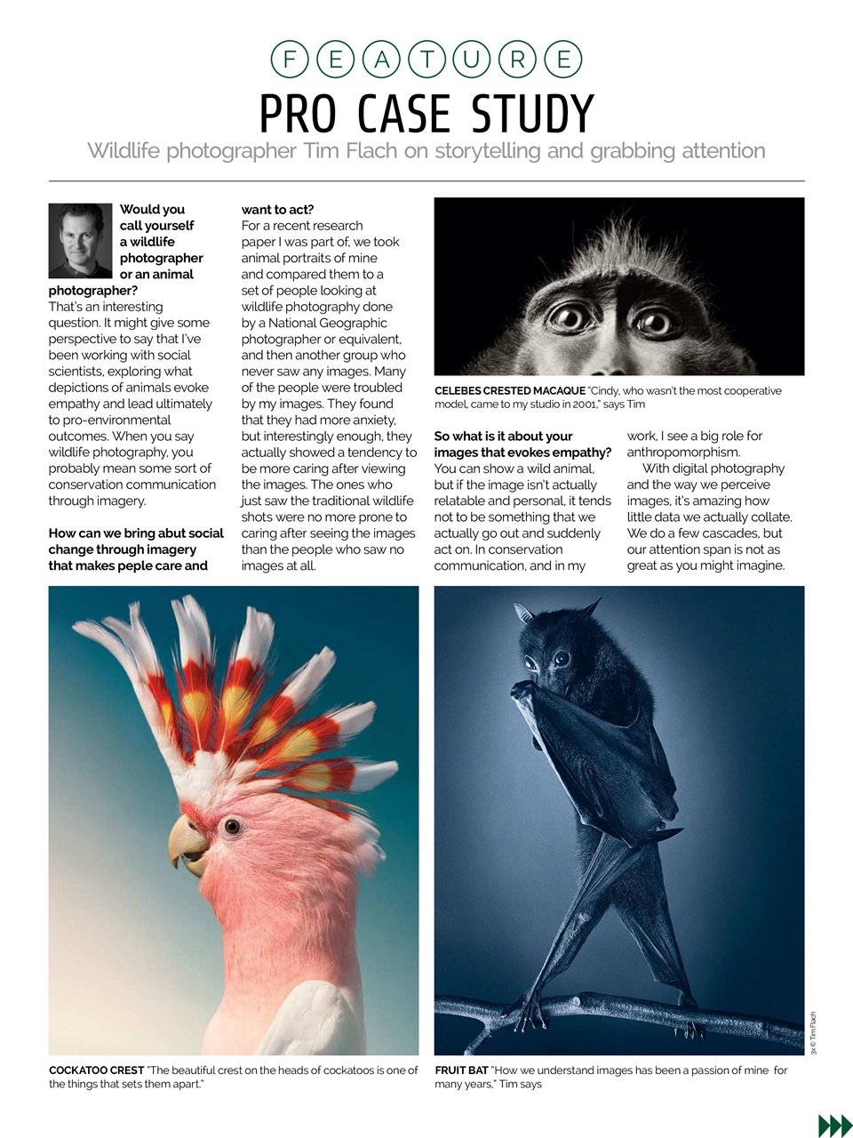 Photography Week Preview Pages