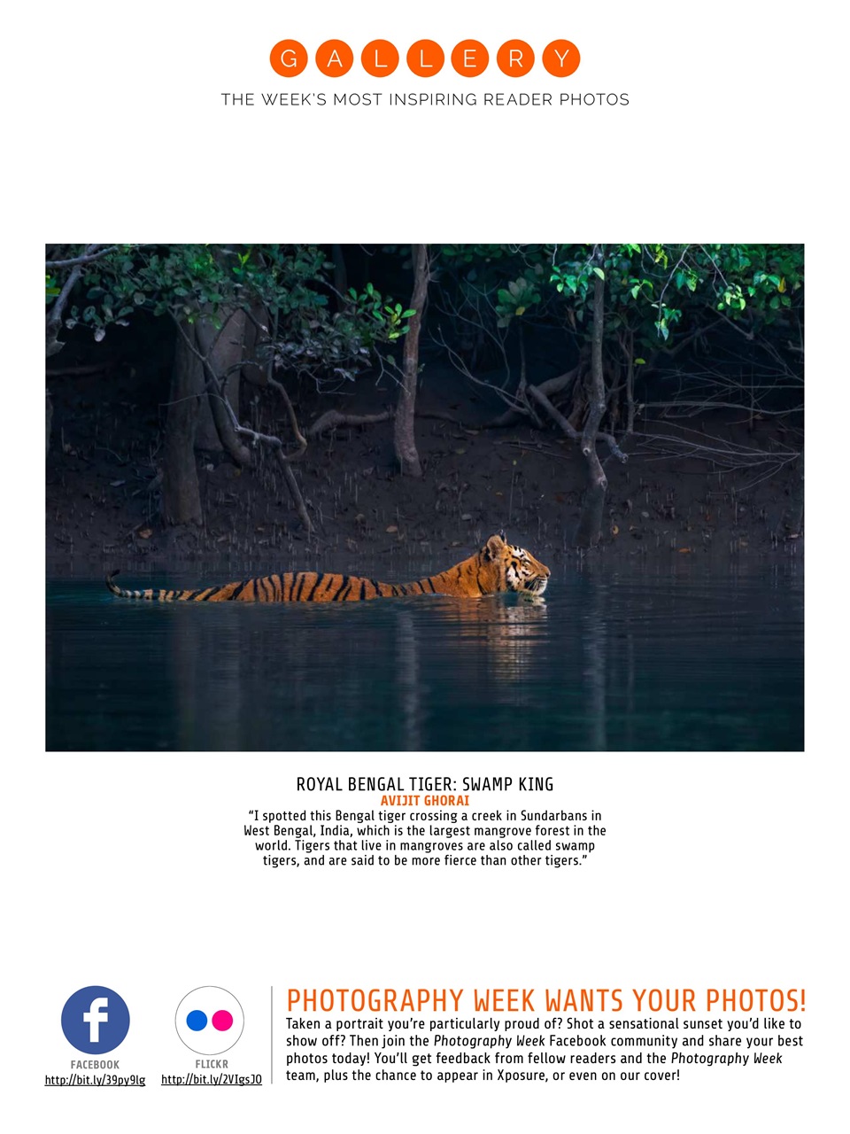 Photography Week Preview Pages