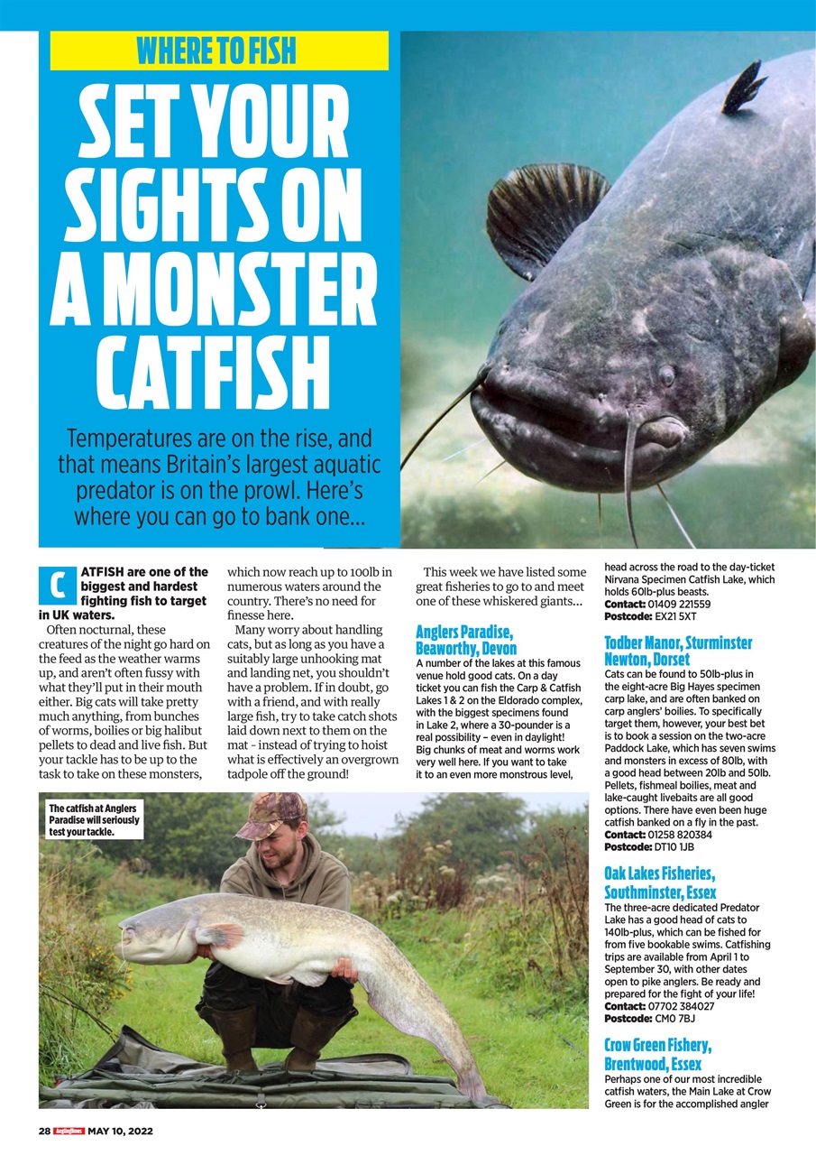 Angling Times Preview Pages